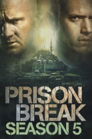 Prison Break Sezona 5 online sa prevodom