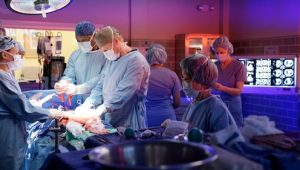 Greys Anatomy 13×8 online sa prevodom
