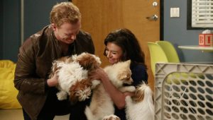 Greys Anatomy 12×14 online sa prevodom