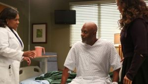 Greys Anatomy 10×5 online sa prevodom