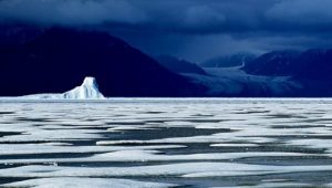 Planet Earth 1×6 online sa prevodom