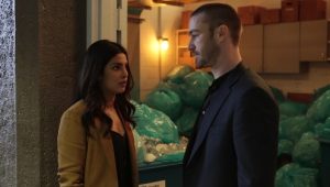 Quantico 2×20 online sa prevodom