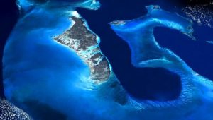 Planet Earth 1×9 online sa prevodom