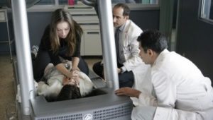 House M.D. 5×5 online sa prevodom