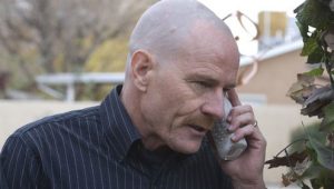 Breaking Bad 2×12 online sa prevodom