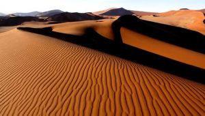 Planet Earth 1×5 online sa prevodom