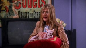 Friends 5×21 online sa prevodom