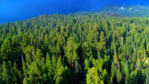 Planet Earth 1×10 online sa prevodom