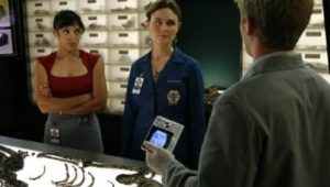 Bones 4×11 online sa prevodom