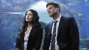 Bones 5×18 online sa prevodom