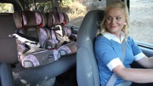 Parks and Recreation 2×1 online sa prevodom