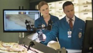 Bones 9×12 online sa prevodom