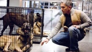 Bones 4×4 online sa prevodom