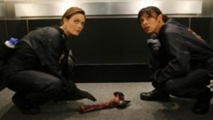 Bones 4×6 online sa prevodom