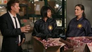 Bones 7×4 online sa prevodom