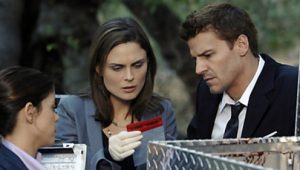 Bones 3×10 online sa prevodom