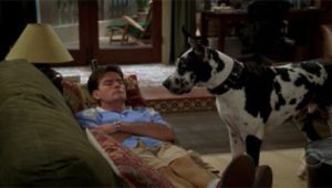 Two and a Half Men 4×4 online sa prevodom