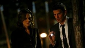 Bones 2×15 online sa prevodom