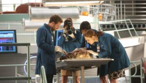 Bones 9×6 online sa prevodom