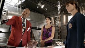 Bones 6×4 online sa prevodom