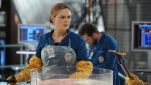 Bones 10×8 online sa prevodom