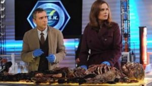 Bones 7×12 online sa prevodom