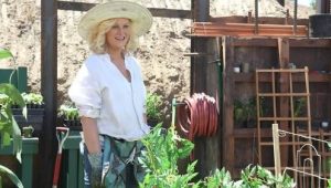 Parks and Recreation 2×2 online sa prevodom