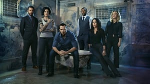 Blindspot Sezona 4 Epizoda 22 online sa prevodom