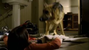 Desperate Housewives 1×8 online sa prevodom