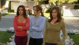 Desperate Housewives Sezona 8 Epizoda 14 online sa prevodom