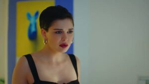 Ptica Ranoranilica Sezona 1 Epizoda 28 online sa prevodom