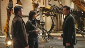 Castle Sezona 2 Epizoda 19 online sa prevodom