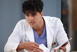 Grey’s Anatomy Sezona 19 Epizoda 16 online sa prevodom
